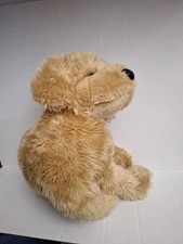 Golden retriever dog for sale  Fallbrook