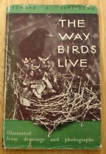 Way birds live for sale  ROSSENDALE