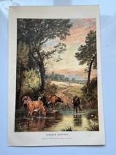Summer evening birket for sale  HORNCASTLE