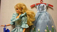 Vintage blonde langhaar gebraucht kaufen  Hauneck