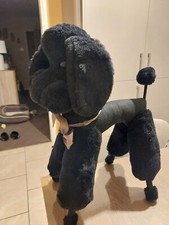 Large poodle dog for sale  ALFRETON