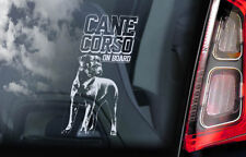 Cane corso car for sale  NOTTINGHAM
