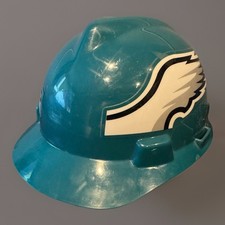 Nfl philadelphia eagles for sale  Swedesboro