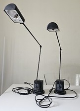 Coppia lumina daphine usato  Bari