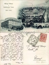Pavia provincia salice usato  Italia