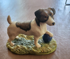 Jack russell arista for sale  PEWSEY