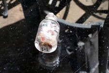 Small 4cm bottle for sale  Ben Lomond