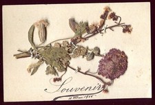 Guerre artisanat fleurs d'occasion  Dijon