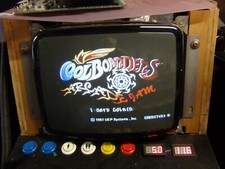 1997 tecmo coolborders for sale  West Winfield