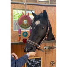 Ruggles horse stable for sale  UK