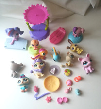 Hasbro littlest pet gebraucht kaufen  Regensburg