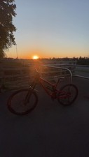 Saracen myst 2019 for sale  TELFORD