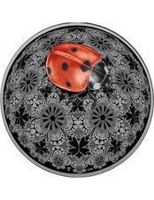 Coccinella entoma colorato usato  Italia