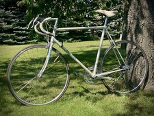 Rennrad hercules ravenna gebraucht kaufen  Hohenleipisch