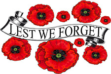 Lest forget red for sale  SHREWSBURY