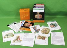 s anatomy cards flash netter for sale s anatomy cards flash netter for sale Roseville