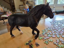 percheron draft horse for sale  Bernardsville