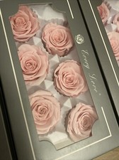 Preserved sakura pink for sale  YORK