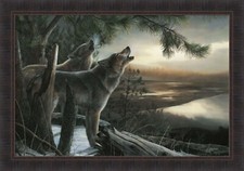 Wild ones kevin for sale  Onamia