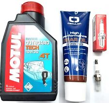 Kit tagliando motore usato  Vibo Valentia