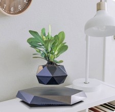 Levitating air bonsai for sale  LONDON