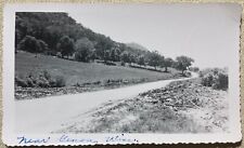 Vtg photo hilly for sale  Sanford