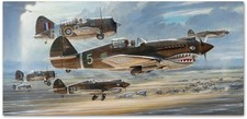 Flying tigers burma for sale  Sunland