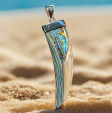 Sterling silver abalone for sale  Las Vegas