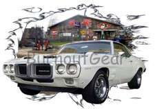 1969 white pontiac for sale  Carmichael