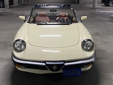 1984 alfa romeo for sale  Marina Del Rey