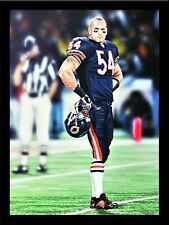 Framed brian urlacher for sale  Pocasset