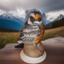 Bohem presents blackburnian for sale  Minneapolis