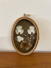 Vintage real euploea for sale  UK