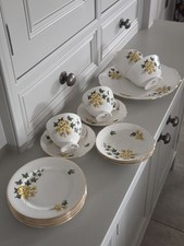 Gainsborough china teaset for sale  DROMORE