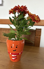 aldi coal for sale aldi coal for sale  REDDITCH