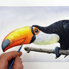 Pintura original aquarela Toco Tucano, ilustração realista de pássaros, belas artes comprar usado  Enviando para Brazil