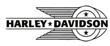 Sticker harley d'occasion  Saint-Julien-Chapteuil