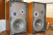 Rcf 40w diffusori usato  Pomezia