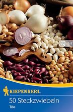 Kiepenkerl 611733 steckzwiebel gebraucht kaufen Kiepenkerl 611733 steckzwiebel gebraucht kaufen  Keltern