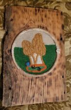 Vtg wood plank for sale  Alpha