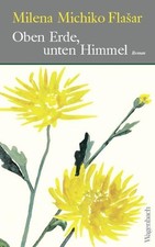 Erde unten himmel gebraucht kaufen  Münster
