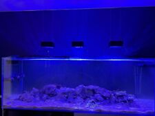 Aquariums d'occasion  Le Neubourg