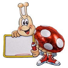 Storz käfer namenstafel gebraucht kaufen Storz käfer namenstafel gebraucht kaufen  Giesen