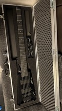 New customised steinberger for sale New customised steinberger for sale  LONDON