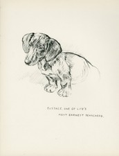 Dachshund lovely vintage for sale  COLEFORD