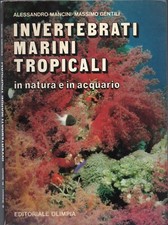 Mancini gentili invertebrati usato  Fonte Nuova