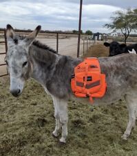 Trailblazer brand orange for sale  Casa Grande