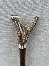 Red deer antler for sale  SALTBURN-BY-THE-SEA