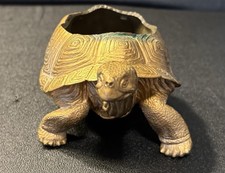 Galapagos adult tortoise for sale  USA