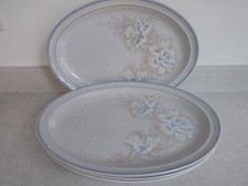Denby tasmin 9.25 for sale  BRIDLINGTON